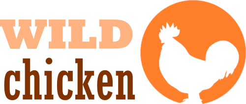 wildchicken.co.nz